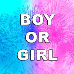 Gender reveal fireworks boy or girl | Dynamic Fireworks
